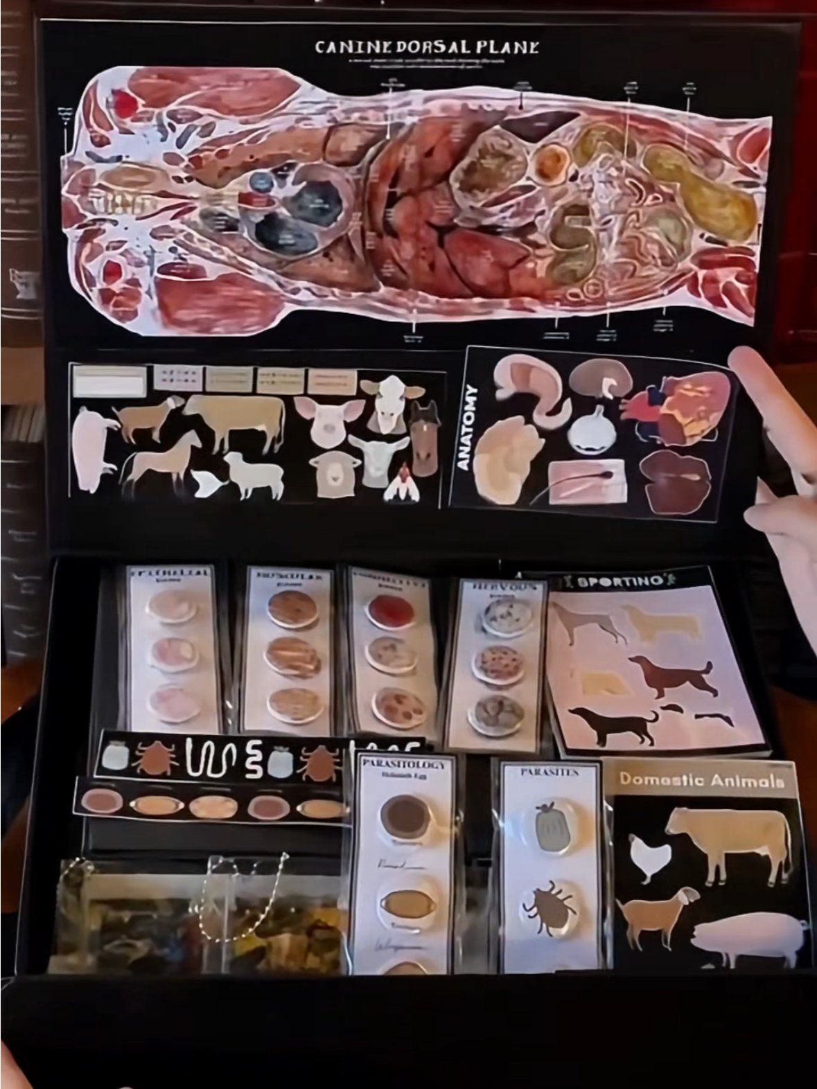 Vet Art Collector’s Gift Box product image (6)