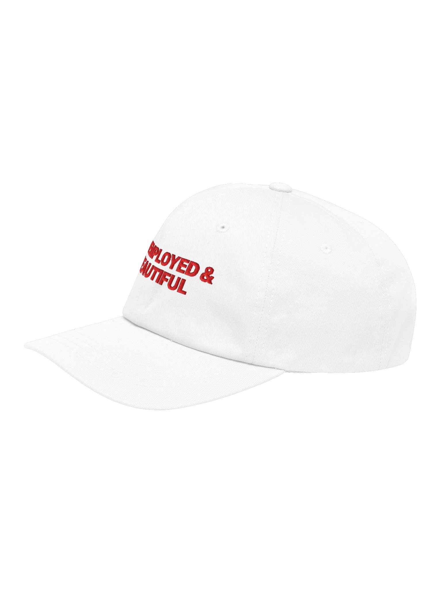 unemployed & beautiful product image (3)