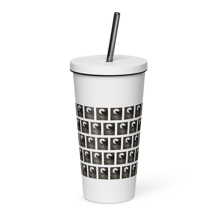 Insulated Tumbler with a Straw product image (17)