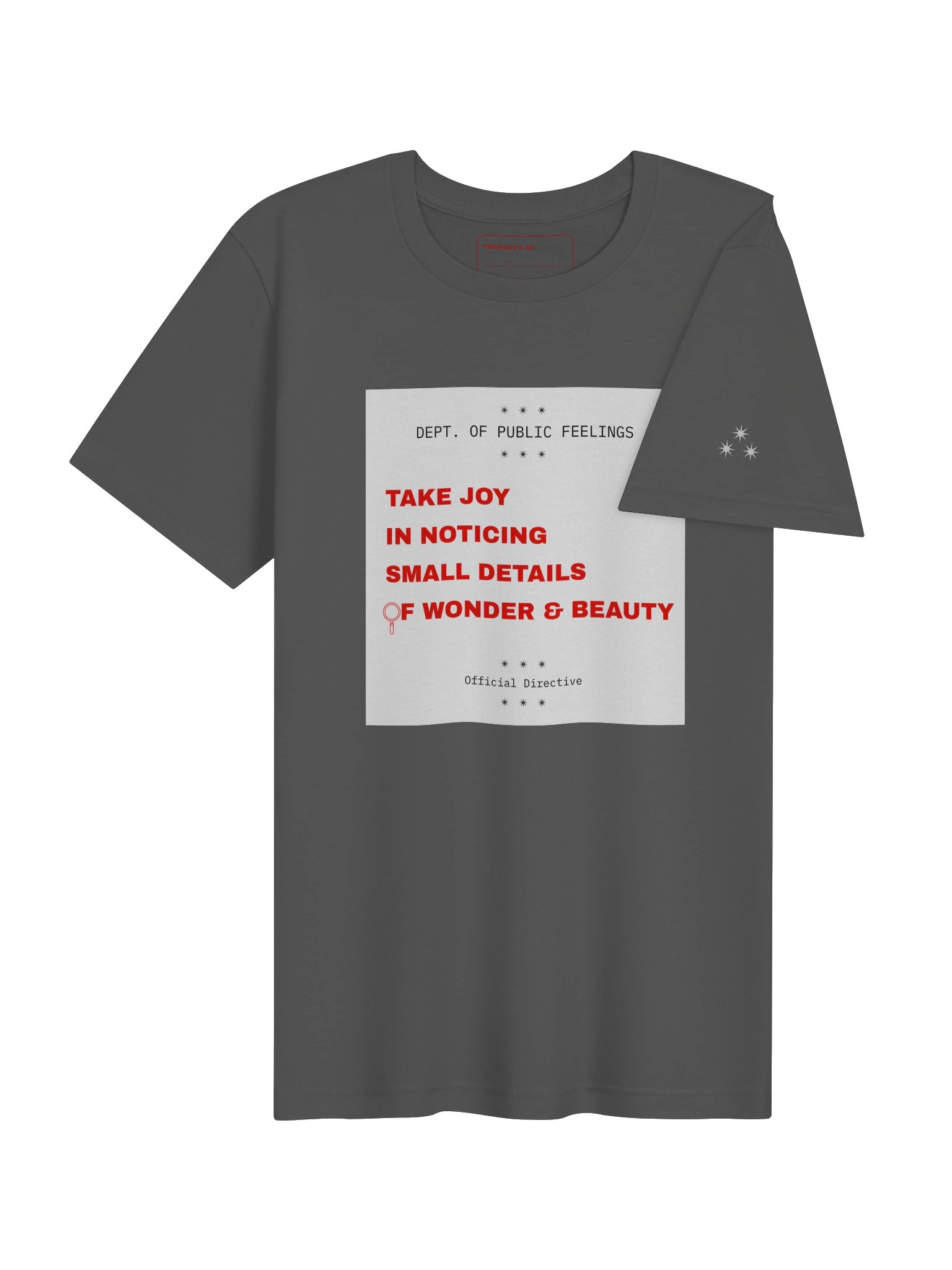 Take Joy in Noticing Small Details of Beauty and Wonder Tee product image (20)