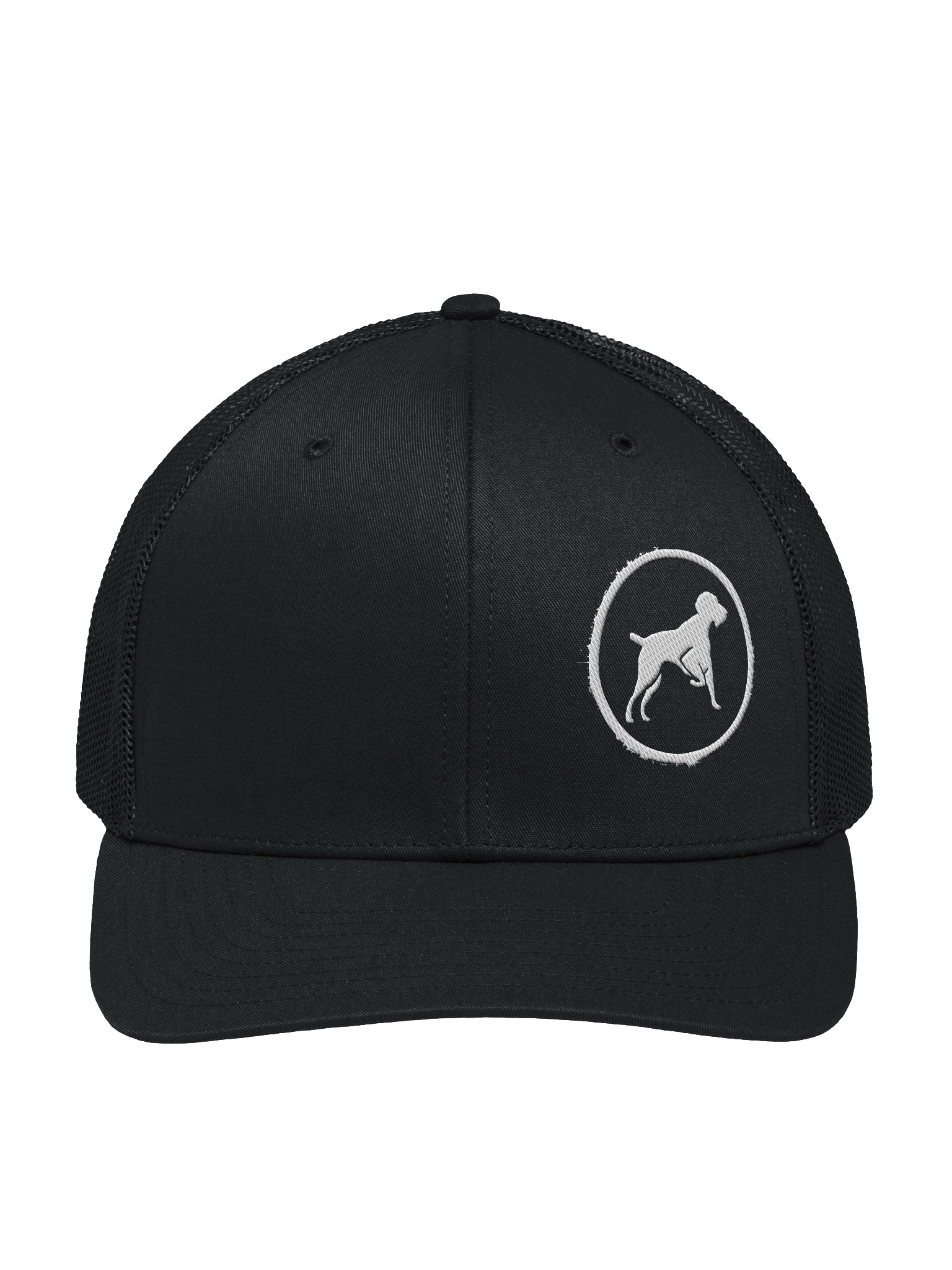 Bird Dogs Hat product image (1)