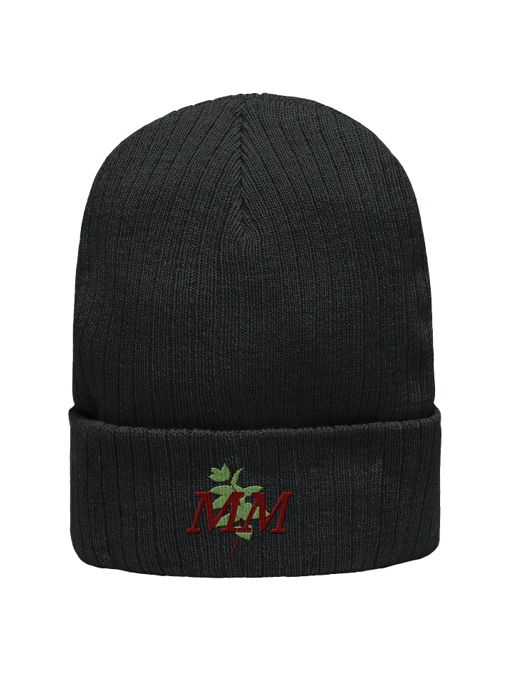 Mint MM Ribbed Beanie product image (3)