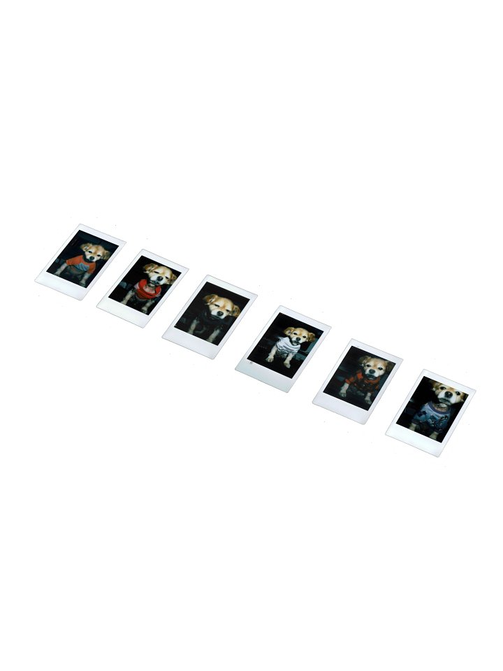 The Spring Collection Stickers product image (1)
