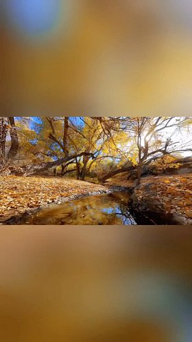 Went for a hike yesterday and found this beautiful spot 😍

Setup:
@spydr.us - Spydr Itsy
@djiglobal - o3 Air Unit with goggle...