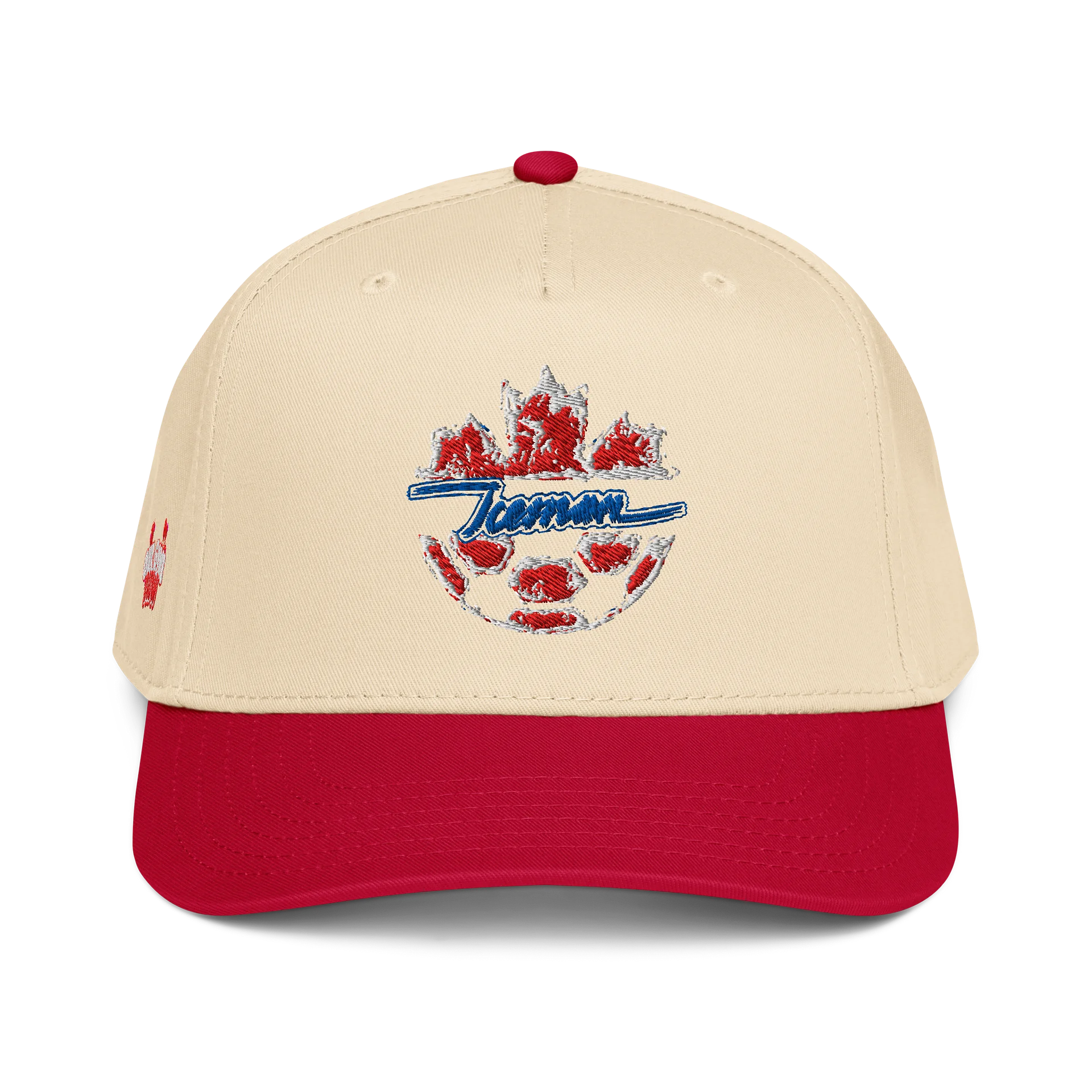 ICEMAN Snapback (CANADA) product image (1)