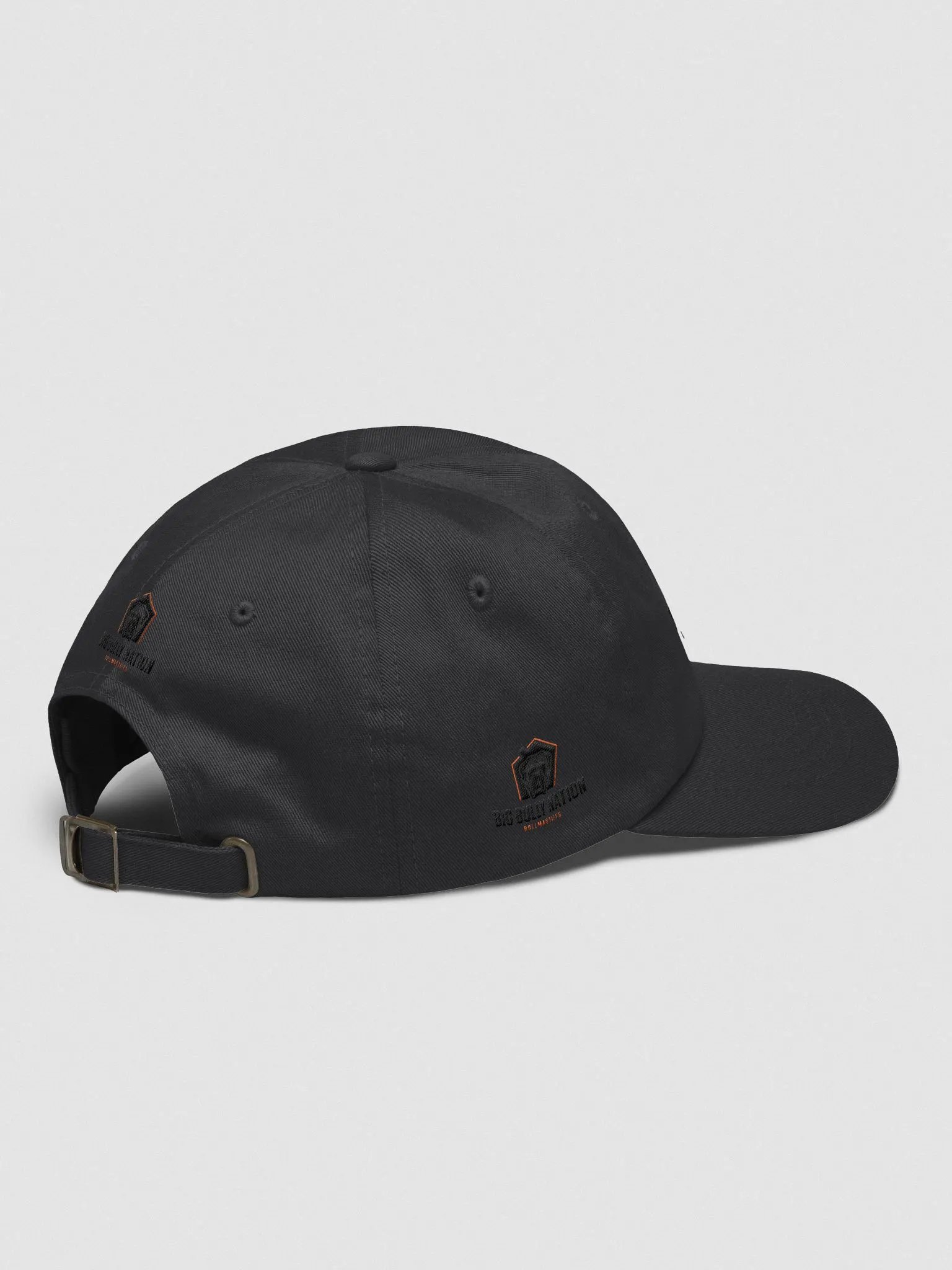 BBN Logo 1 Dad Hat product image (32)