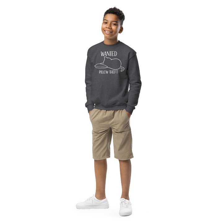 Wanted (Pillow Theft) - Unisex Youth Sweatshirt product image (2)