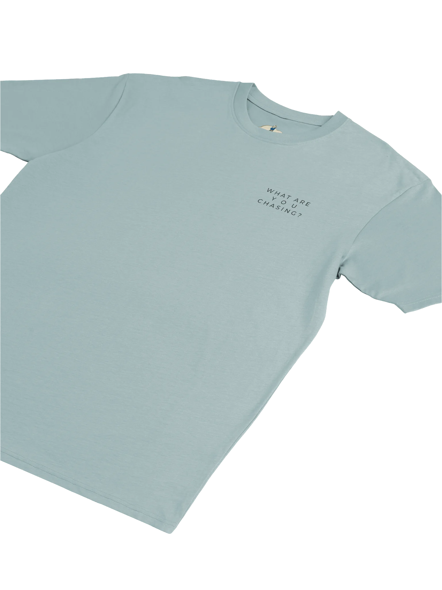 Men's What Are You Chasing? Heavyweight Statement Tee product image (5)