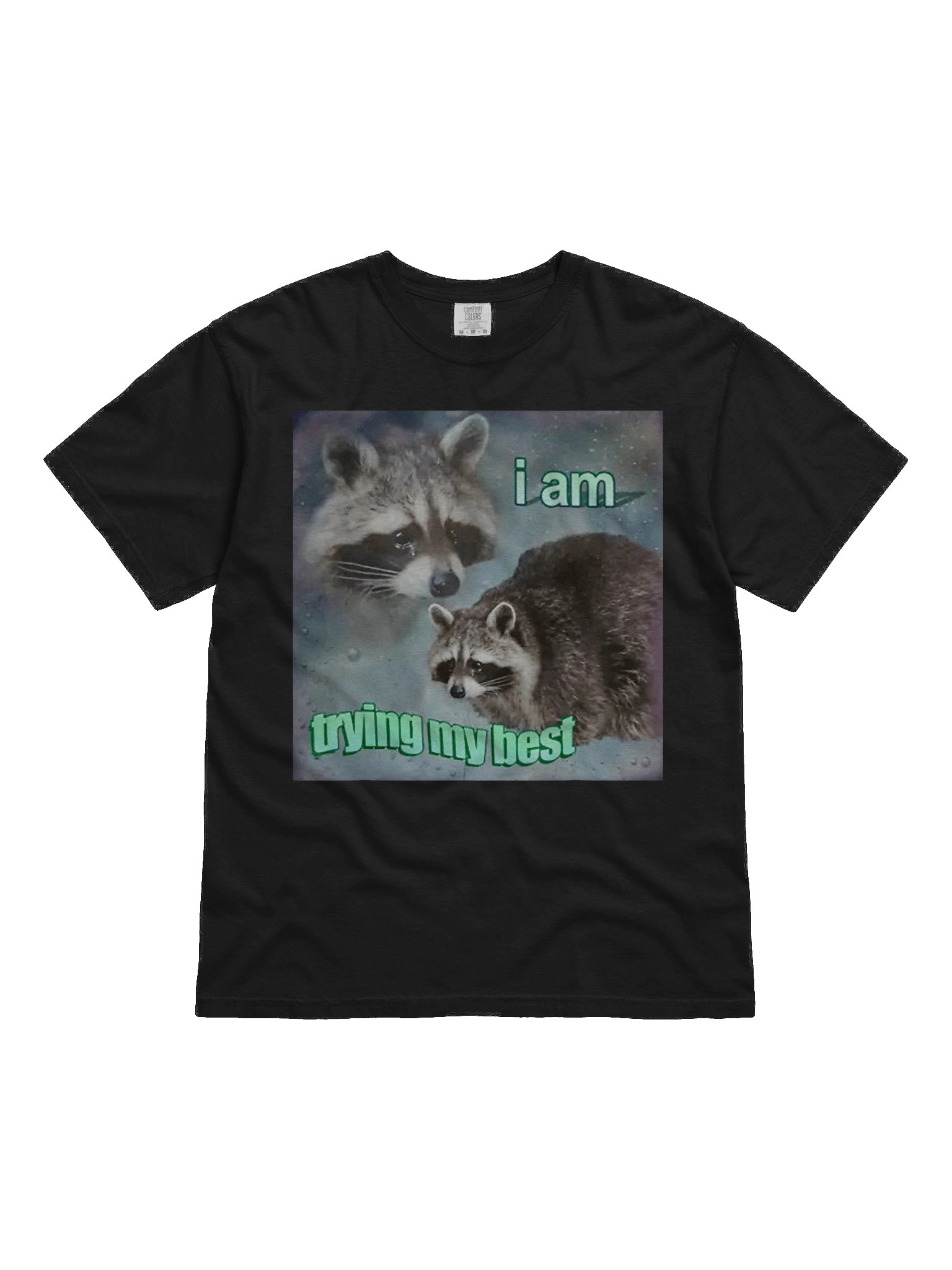 I Am Trying My Best Shirt product image (2)