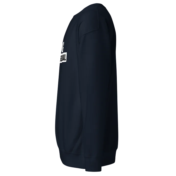STARDOGGLOBAL Bold Graphic Sweatshirt product image (2)