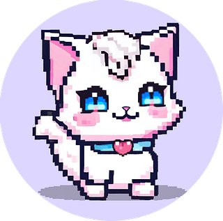 pocketkittyxo