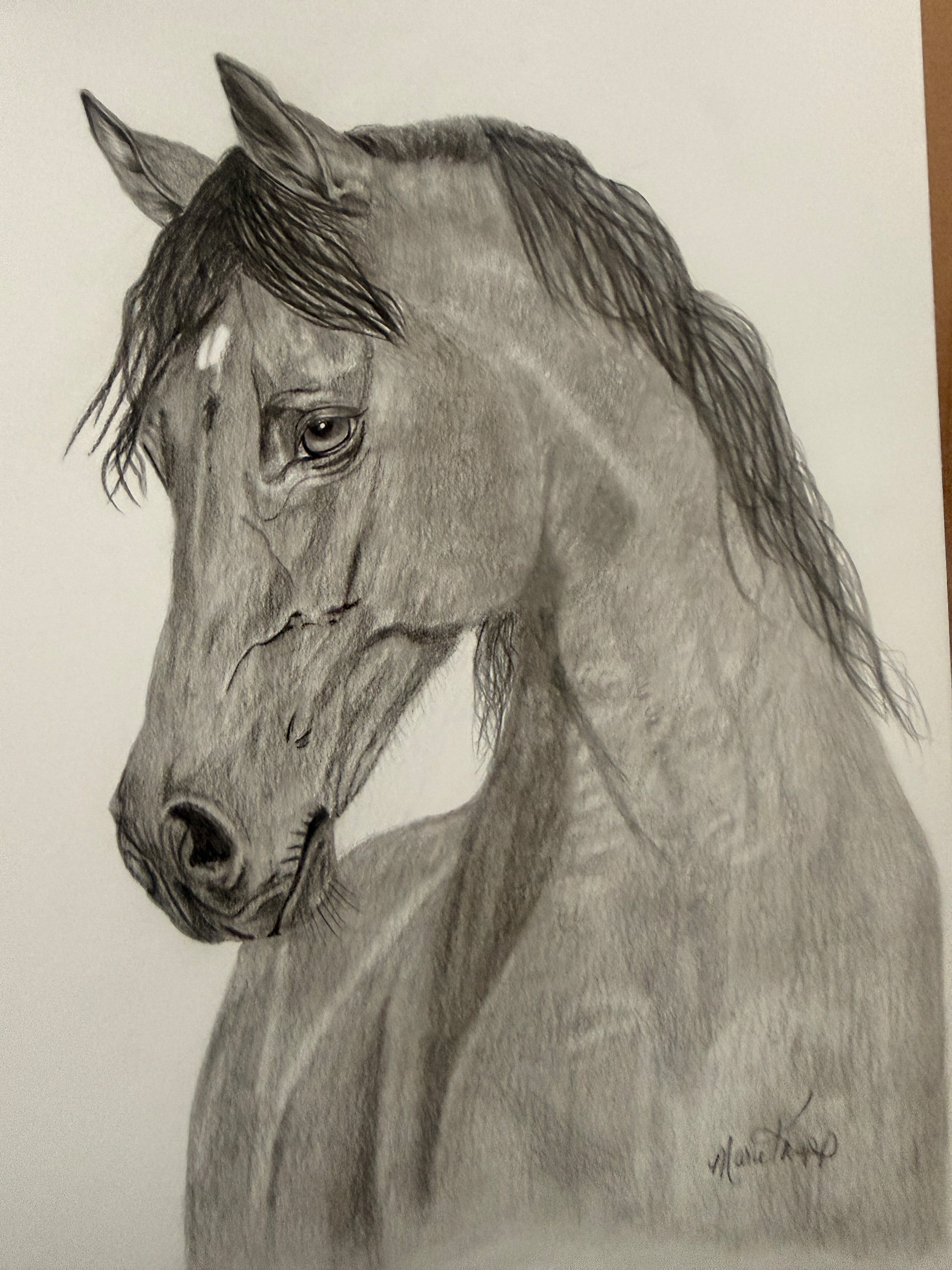 Eye Of The Beholder - Original Graphite Drawing product image (2)