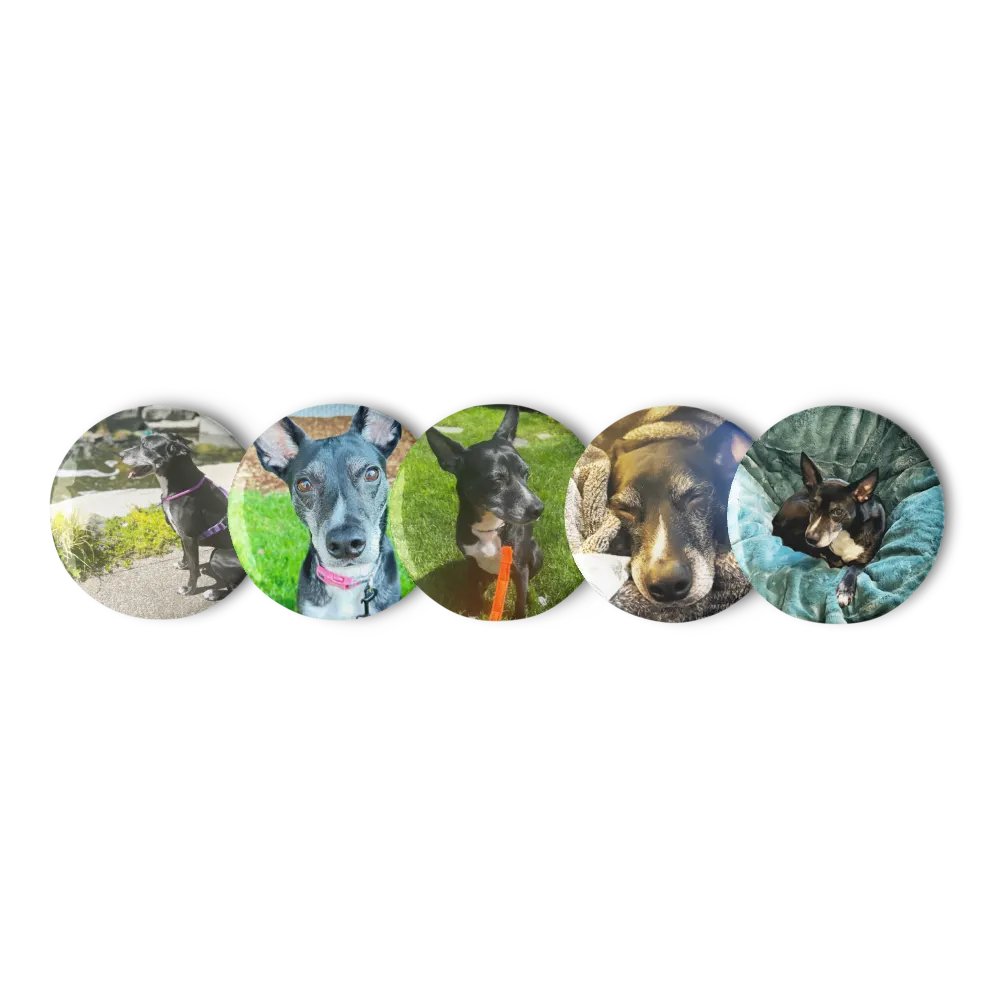 The Belle Badge Collection product image (6)