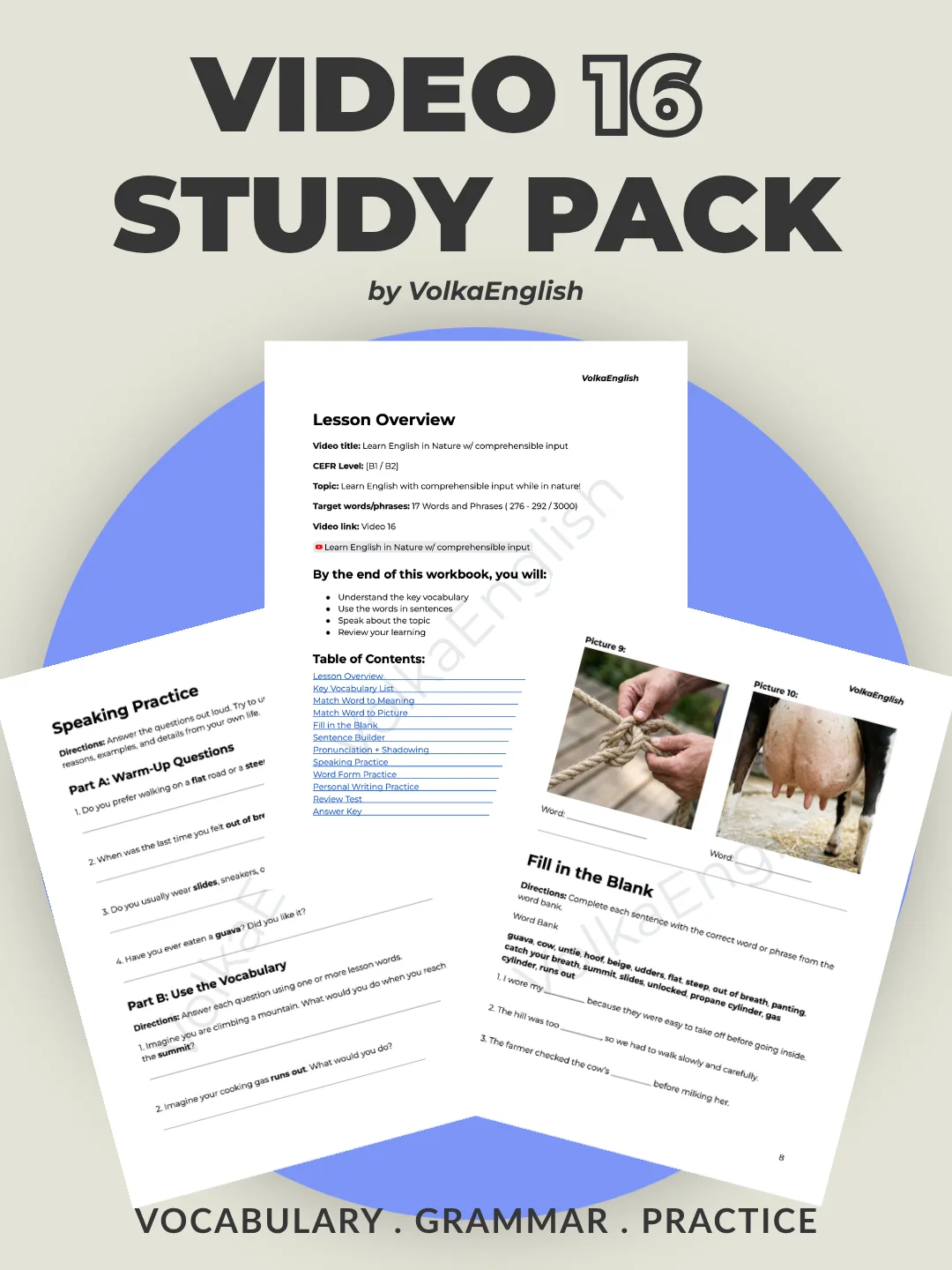 Learn English in Nature w/ comprehensible input - Video 16 Study Pack product image (1)