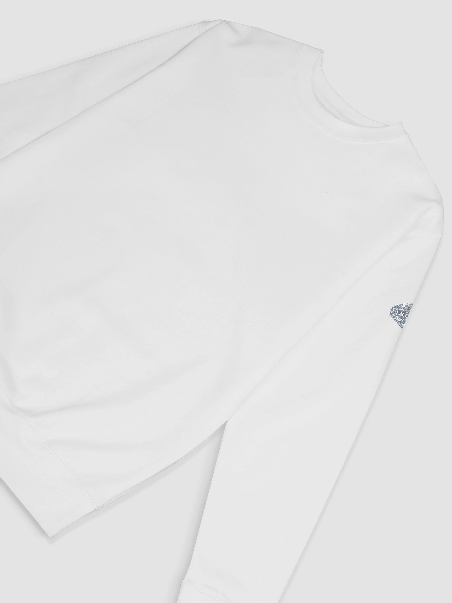 Intense Cotton Sweatshirt With Centered Tech product image (62)