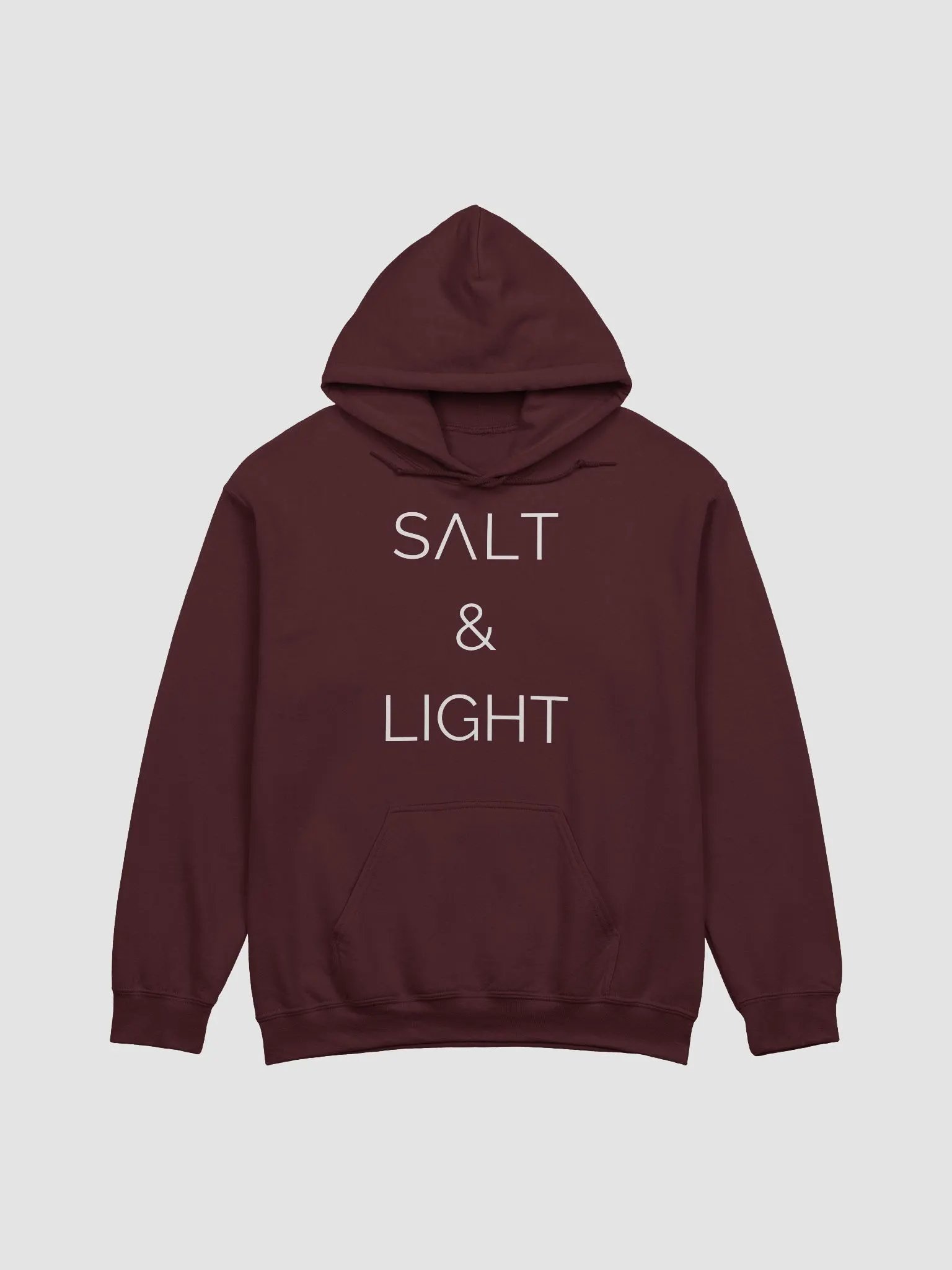 Salt & Light Hoodie product image (6)