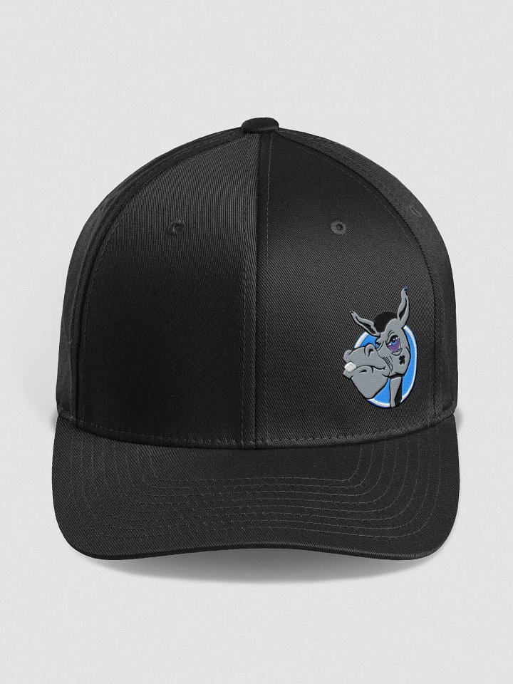 Flex Fit Cap product image (2)