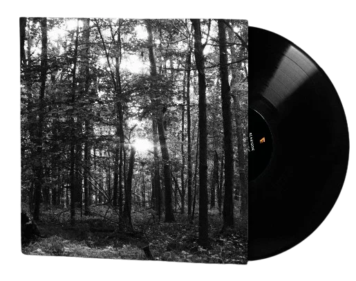 Always Here Vinyl product image (1)