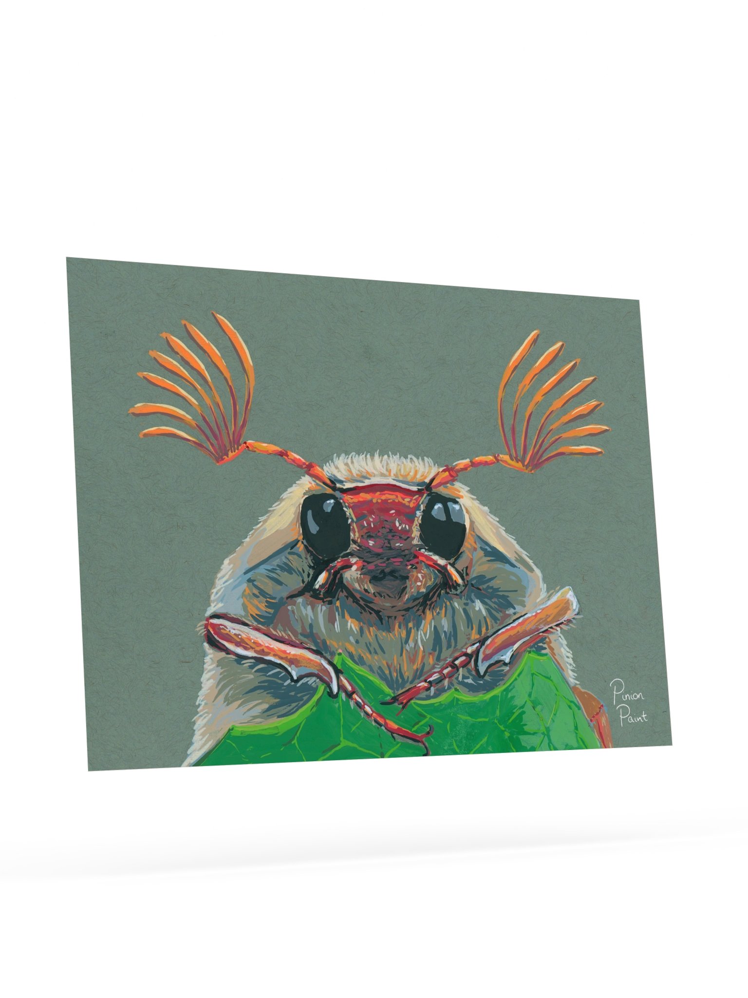 Cockchafer print product image (4)