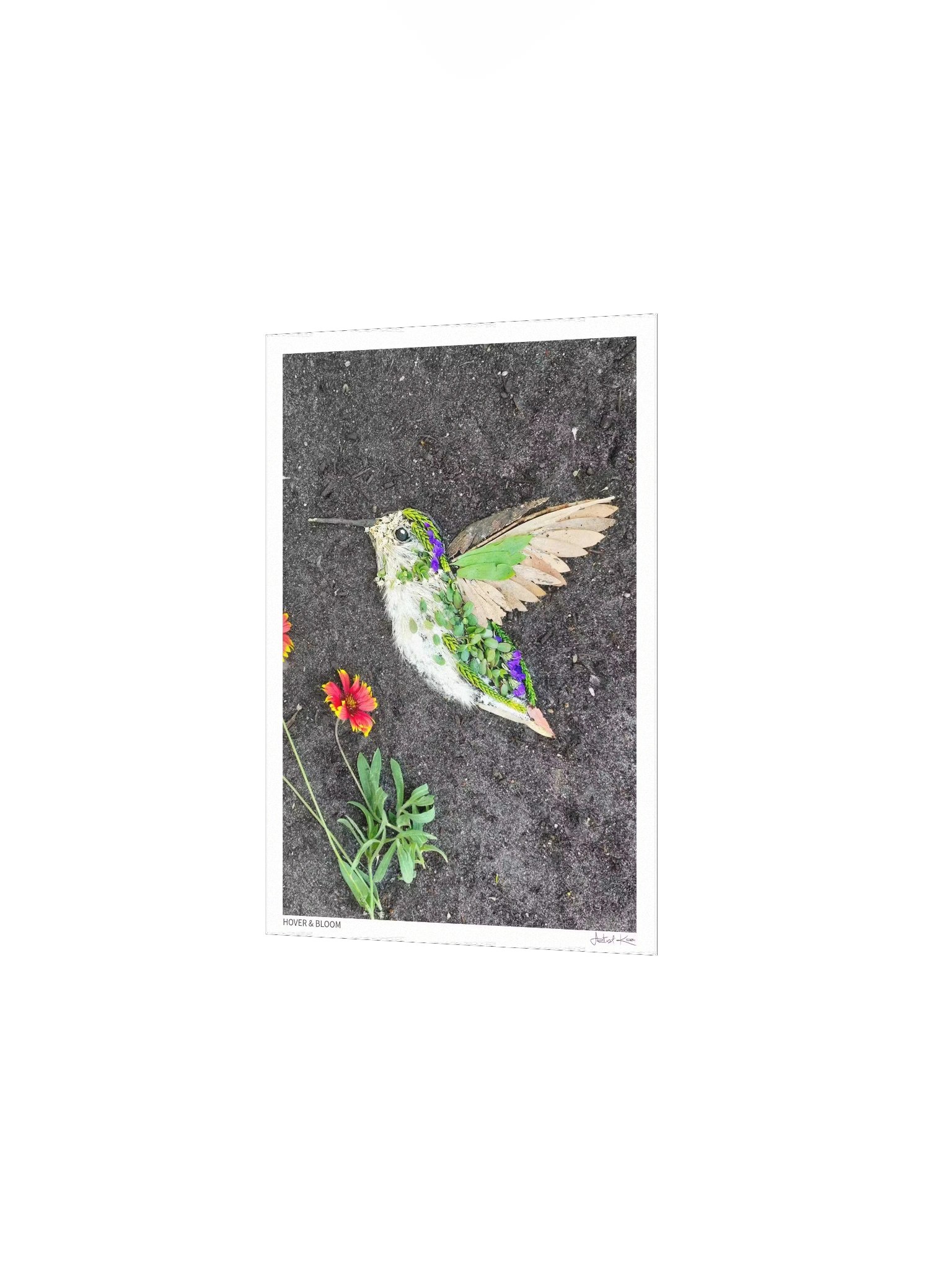 HOVER & BLOOM | Fine Art Print product image (3)