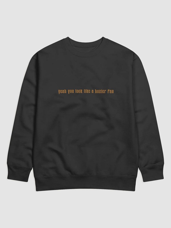 Hozier Fan Sweatshirt product image (1)