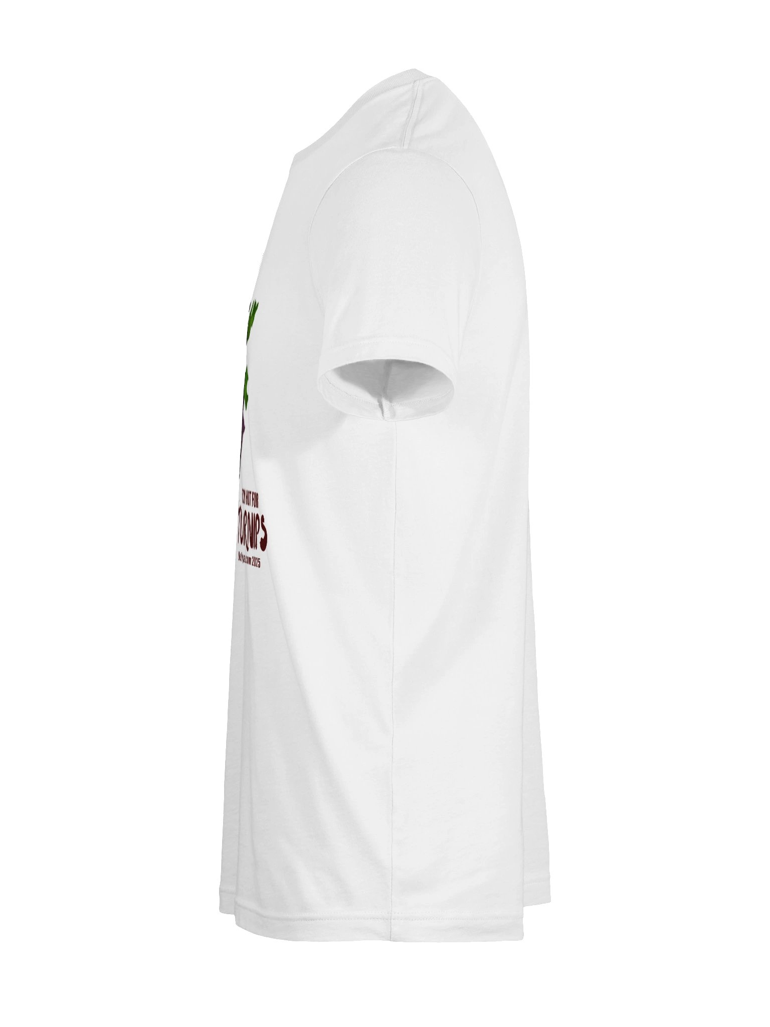 Too Hot Tee product image (11)