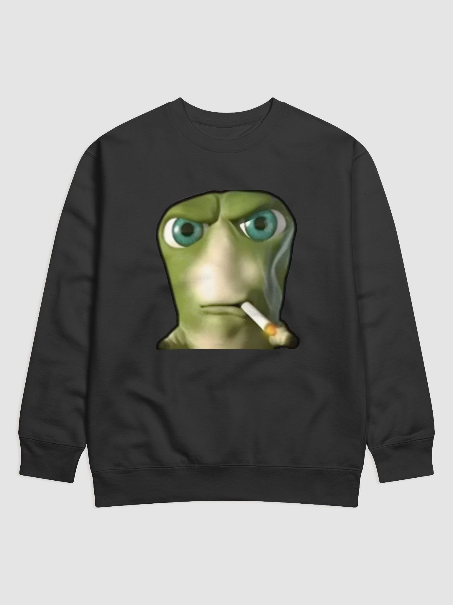 TA Premium Sweatshirt product image (1)