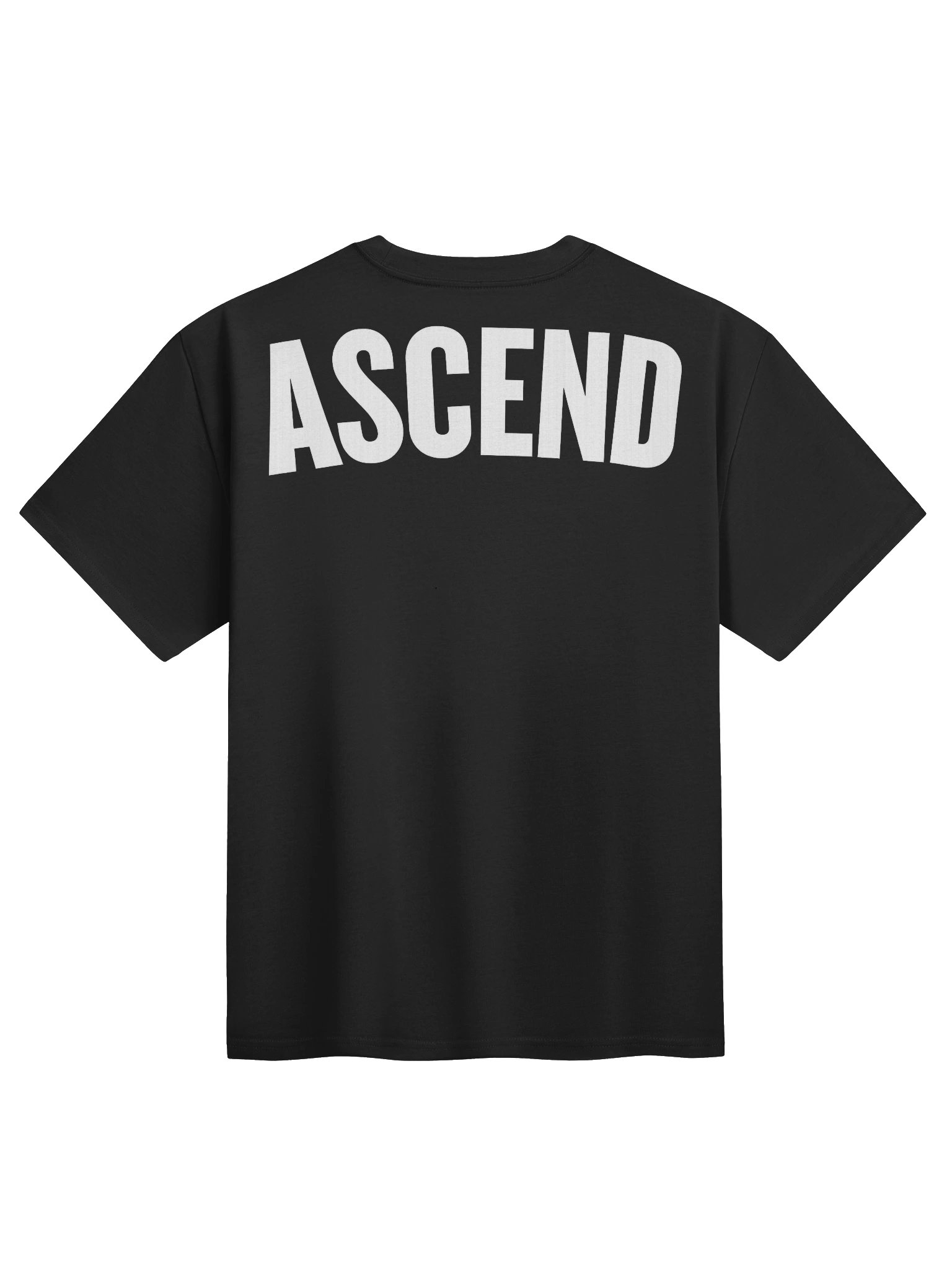 Exclusive to Scene: ASCEND Heavyweight T-shirt product image (3)