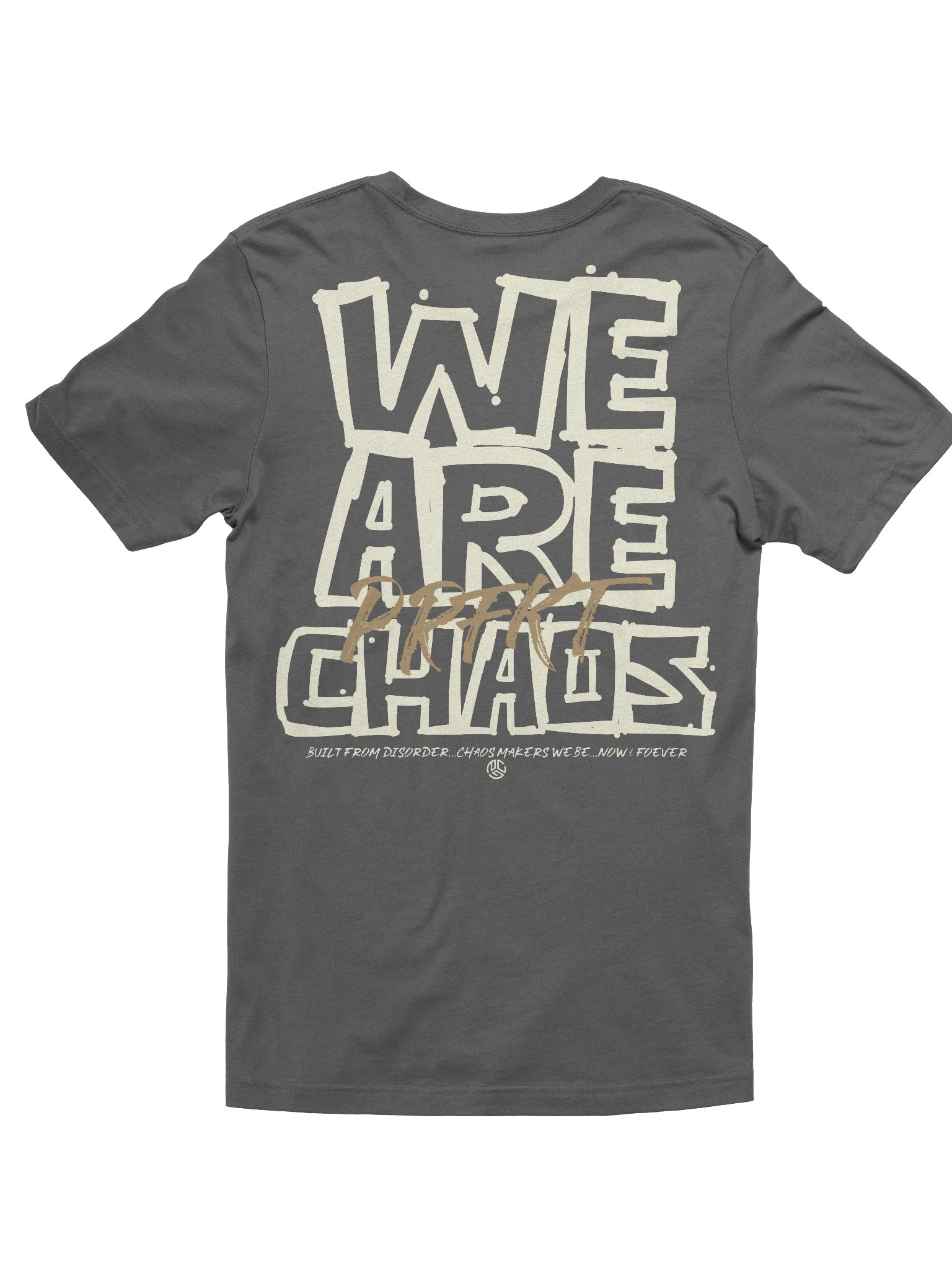 We Are Chaos Tee - Asphalt product image (2)