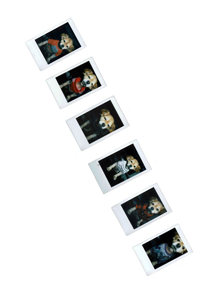The Spring Collection Stickers product image (2)
