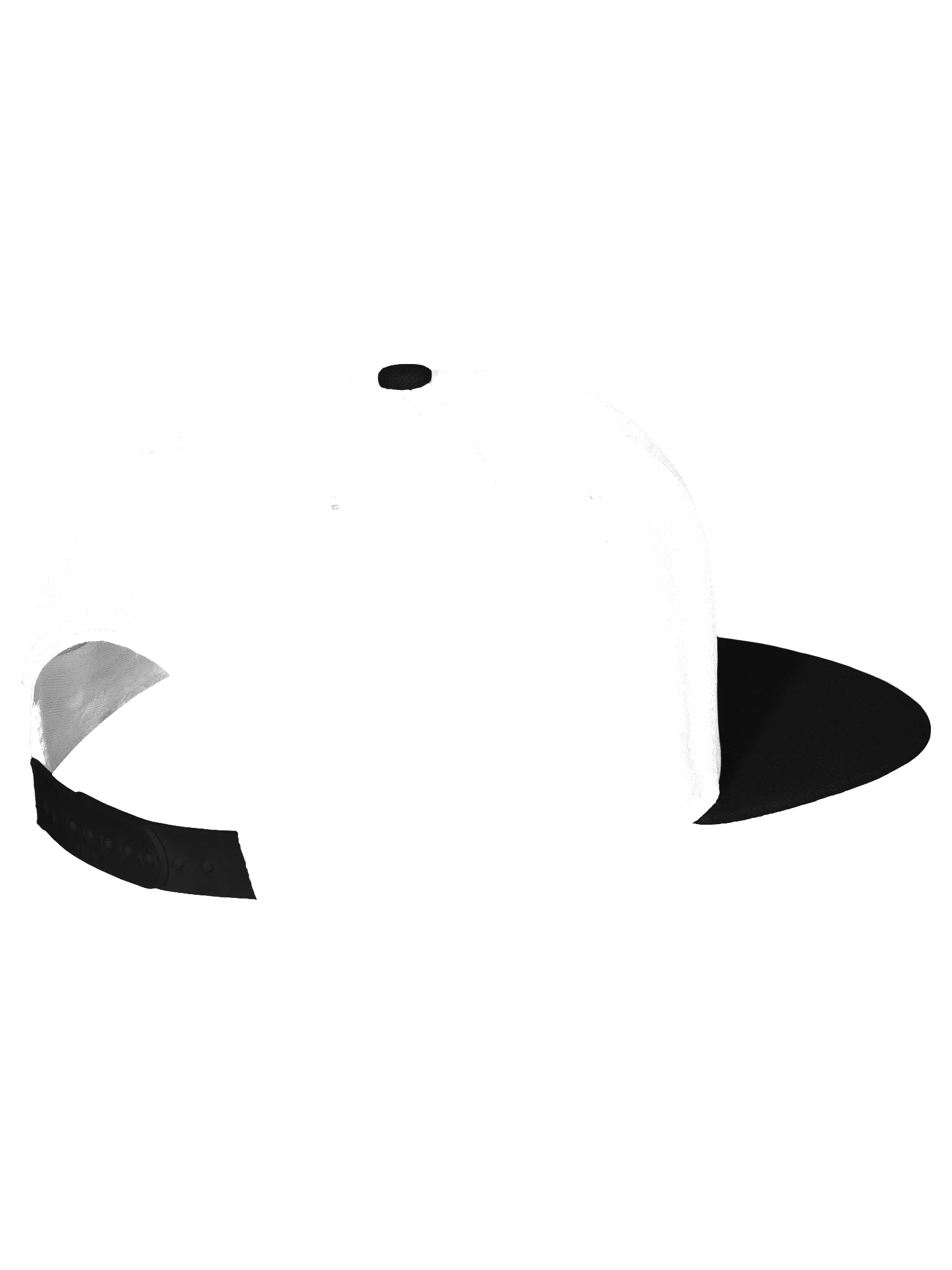 My Favorite Season is Awards. Snapback V2 product image (3)