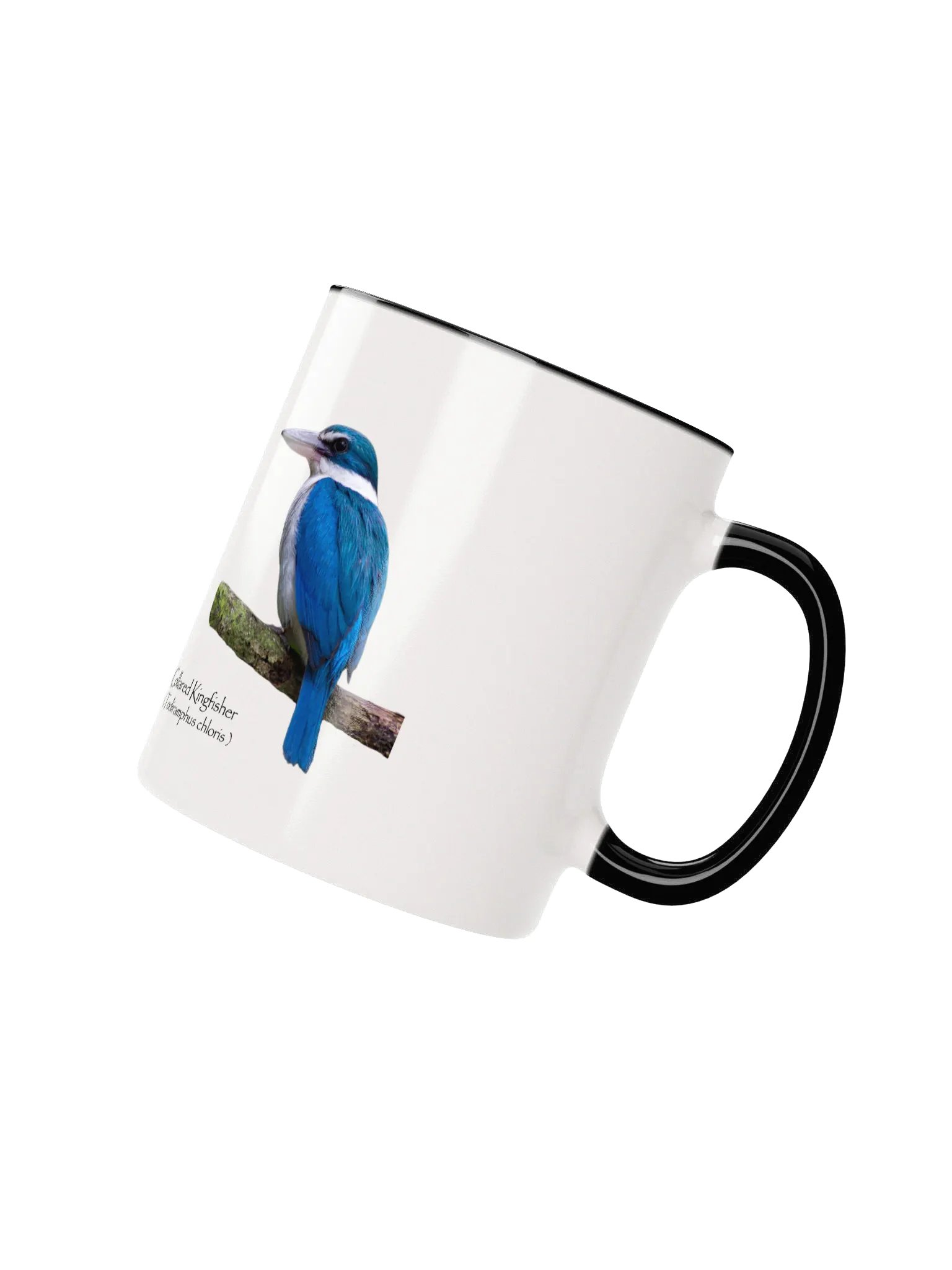Collared Kingfisher mug product image (11)