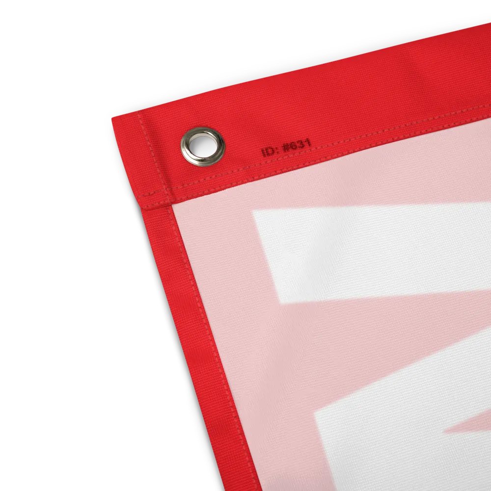 we do this not because it is easy flag product image (7)