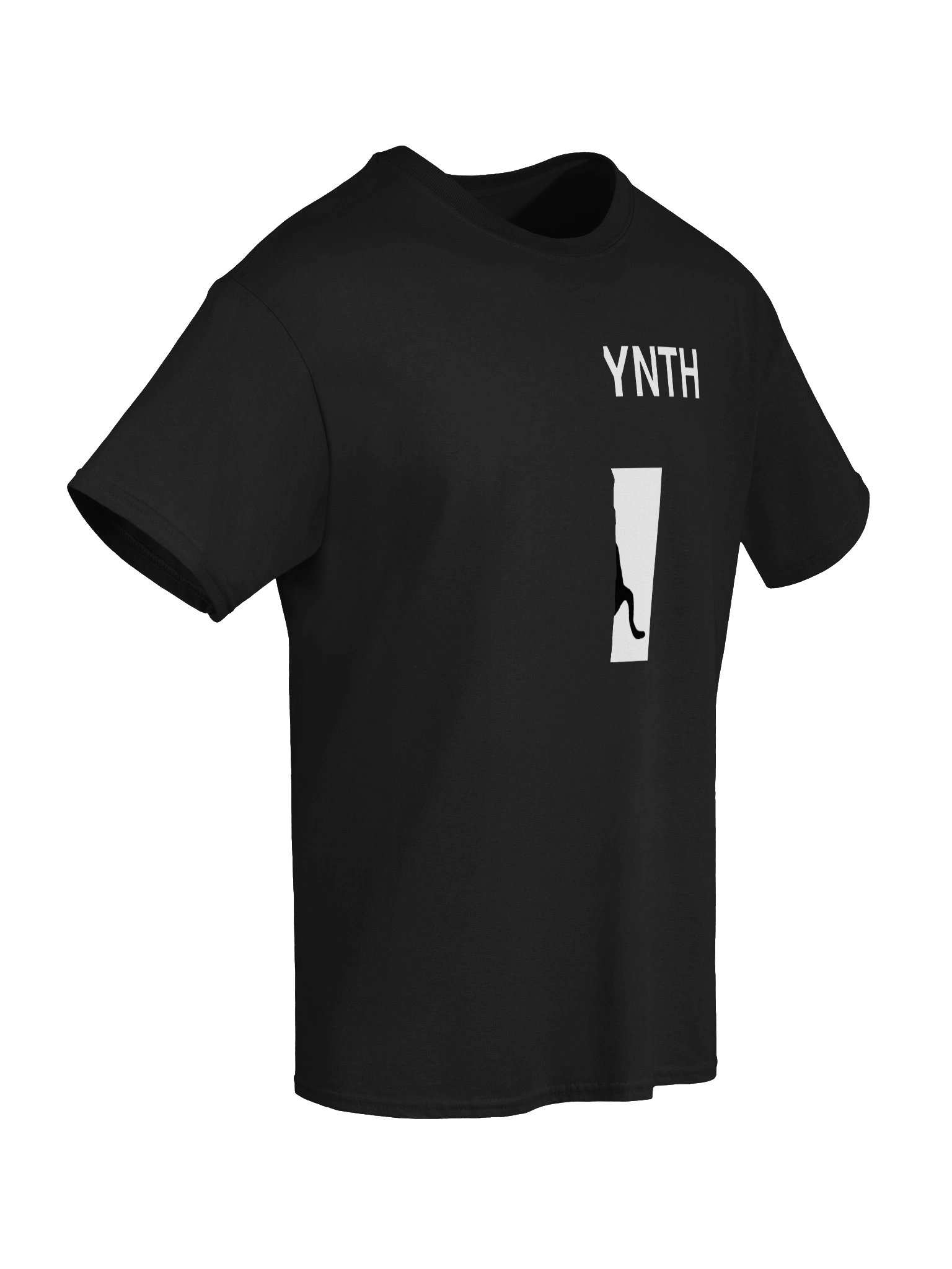 CatSynth: The T-Shirt product image (6)
