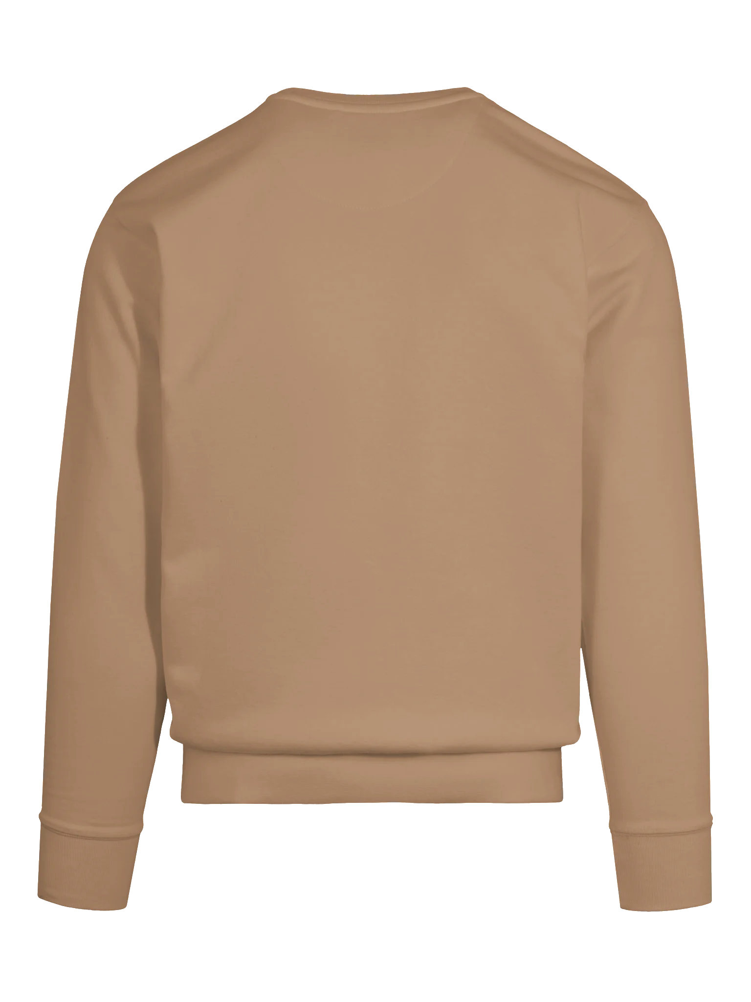 Chatty Campfire Premium Sweatshirt | Cozy Chatty Fall Collection product image (30)