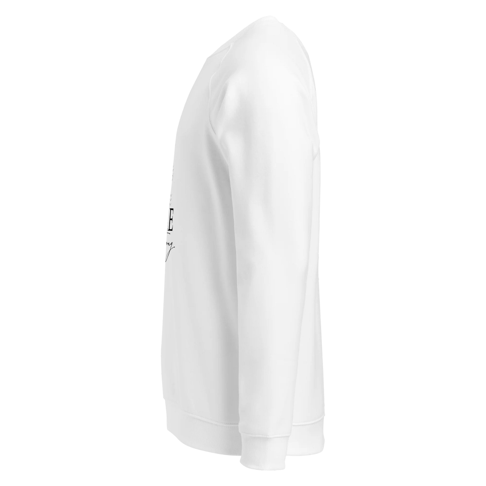 Women's Organic Raglan Sweatshirt ORFB0104 product image (4)