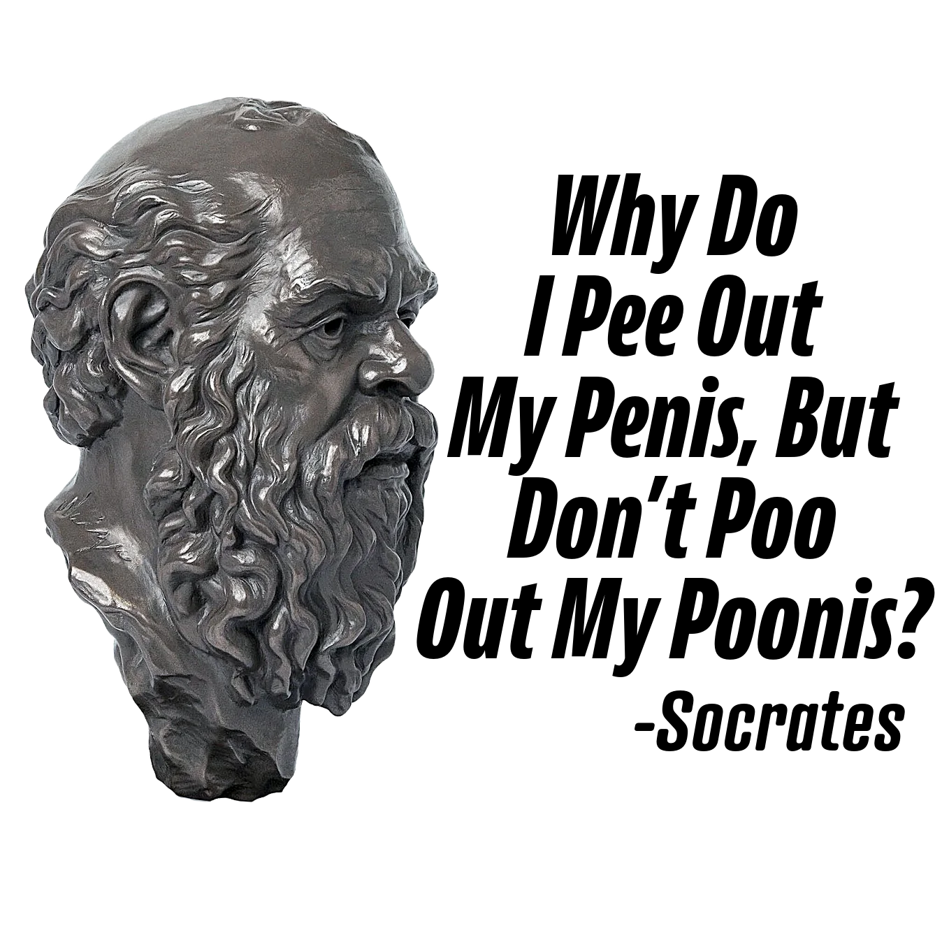 Socrates: Why Do I Pee Out My Penis, But Don't Poo Out My Poonis? Ceramic Coffee Mug product image (7)