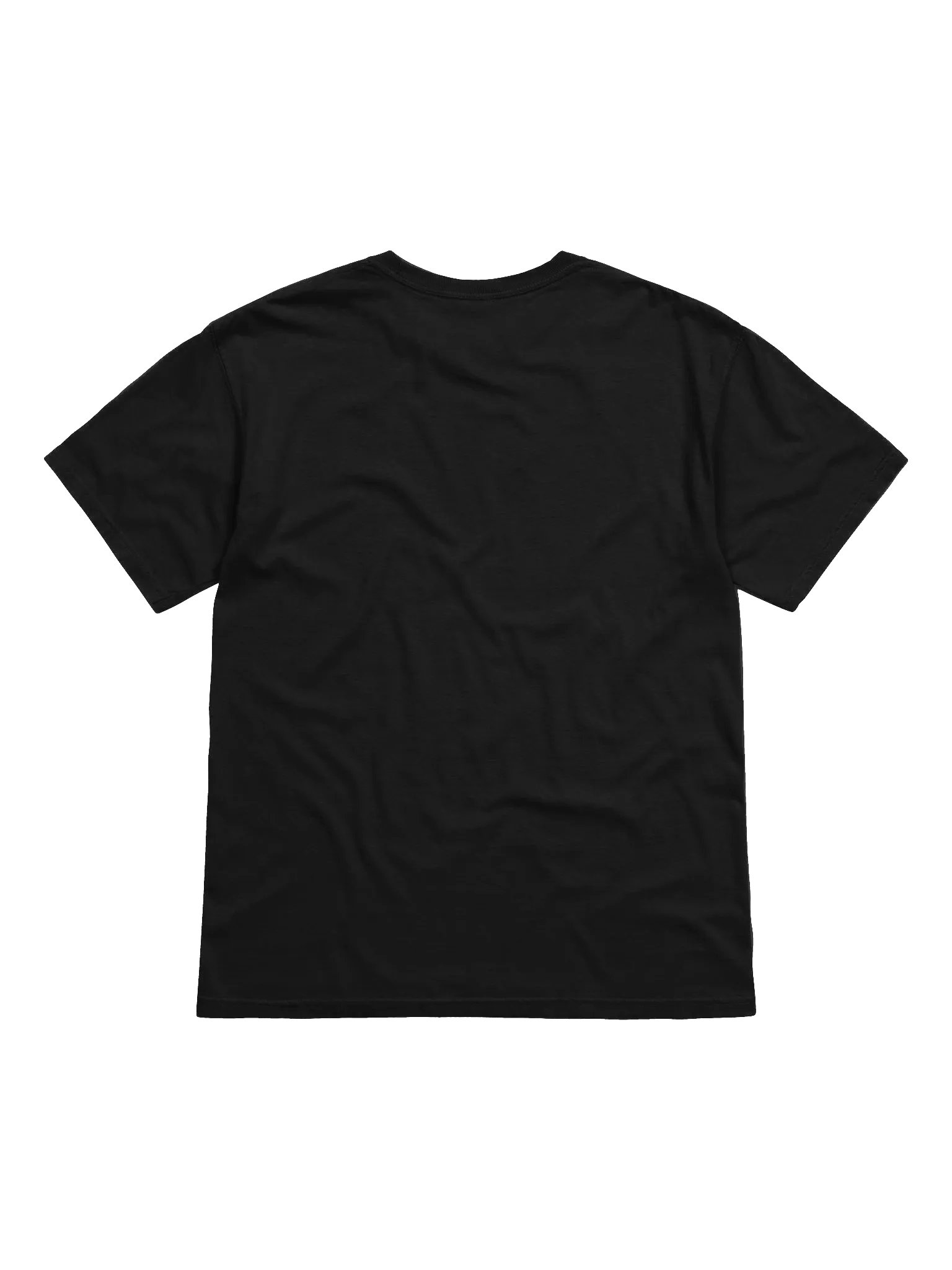"Siblings or Dating" T-Shirt product image (10)