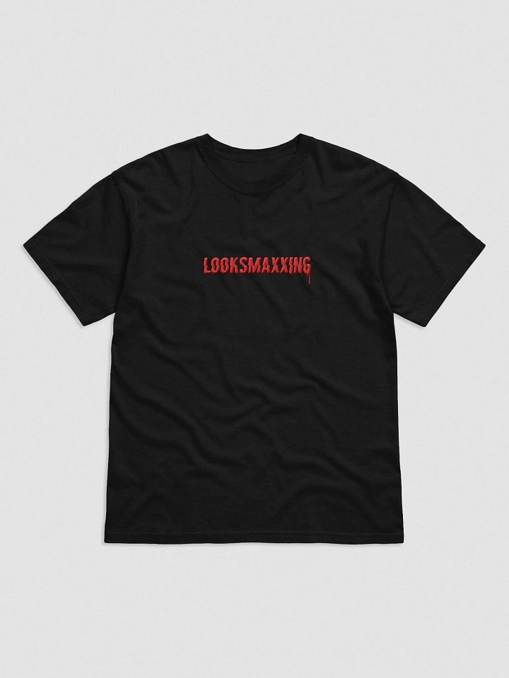 LOOKSMAXXING Embroidered Tee product image (1)