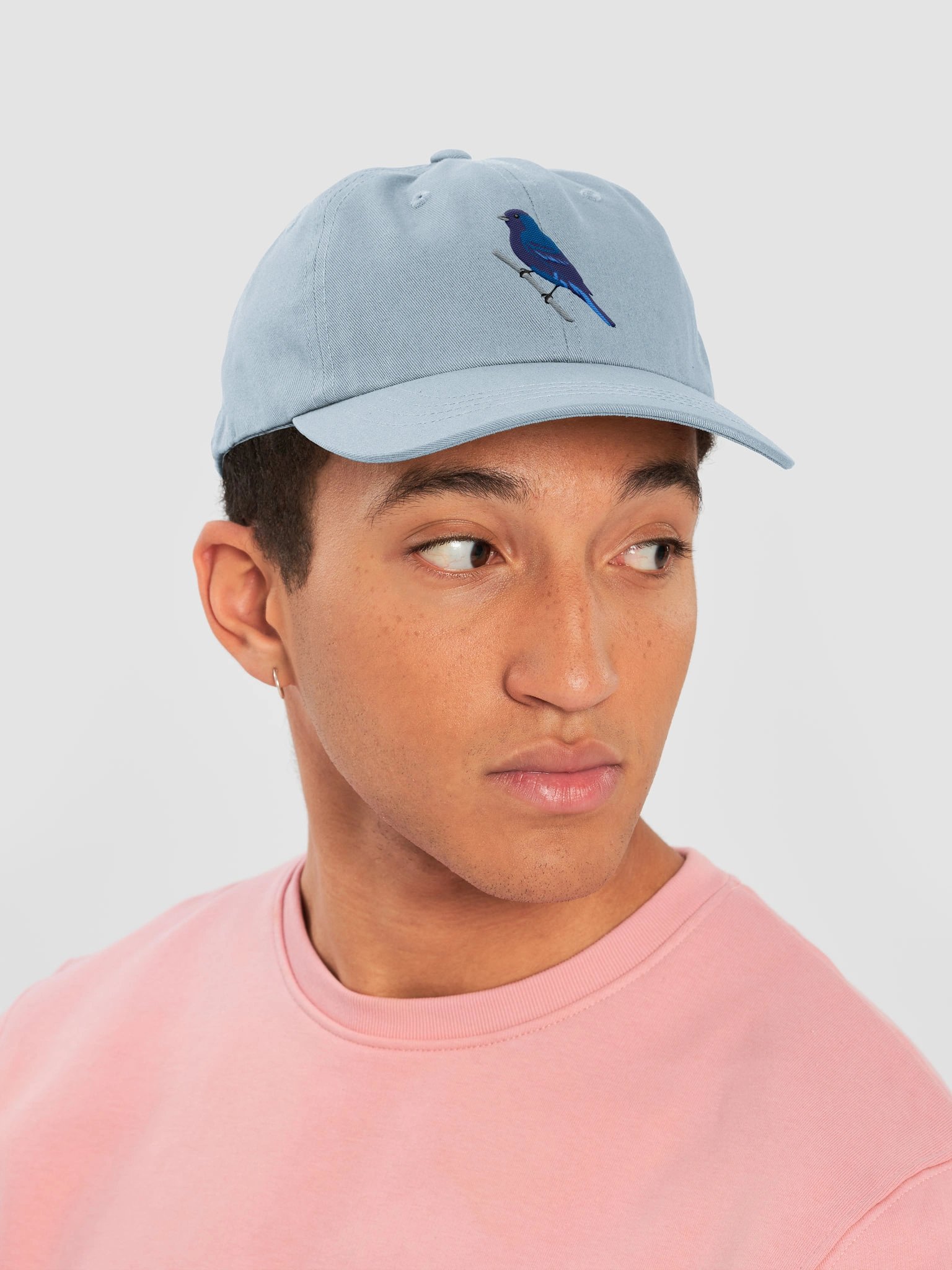 Indigo Bunting Embroidered Hat | Songbird Cap product image (70)