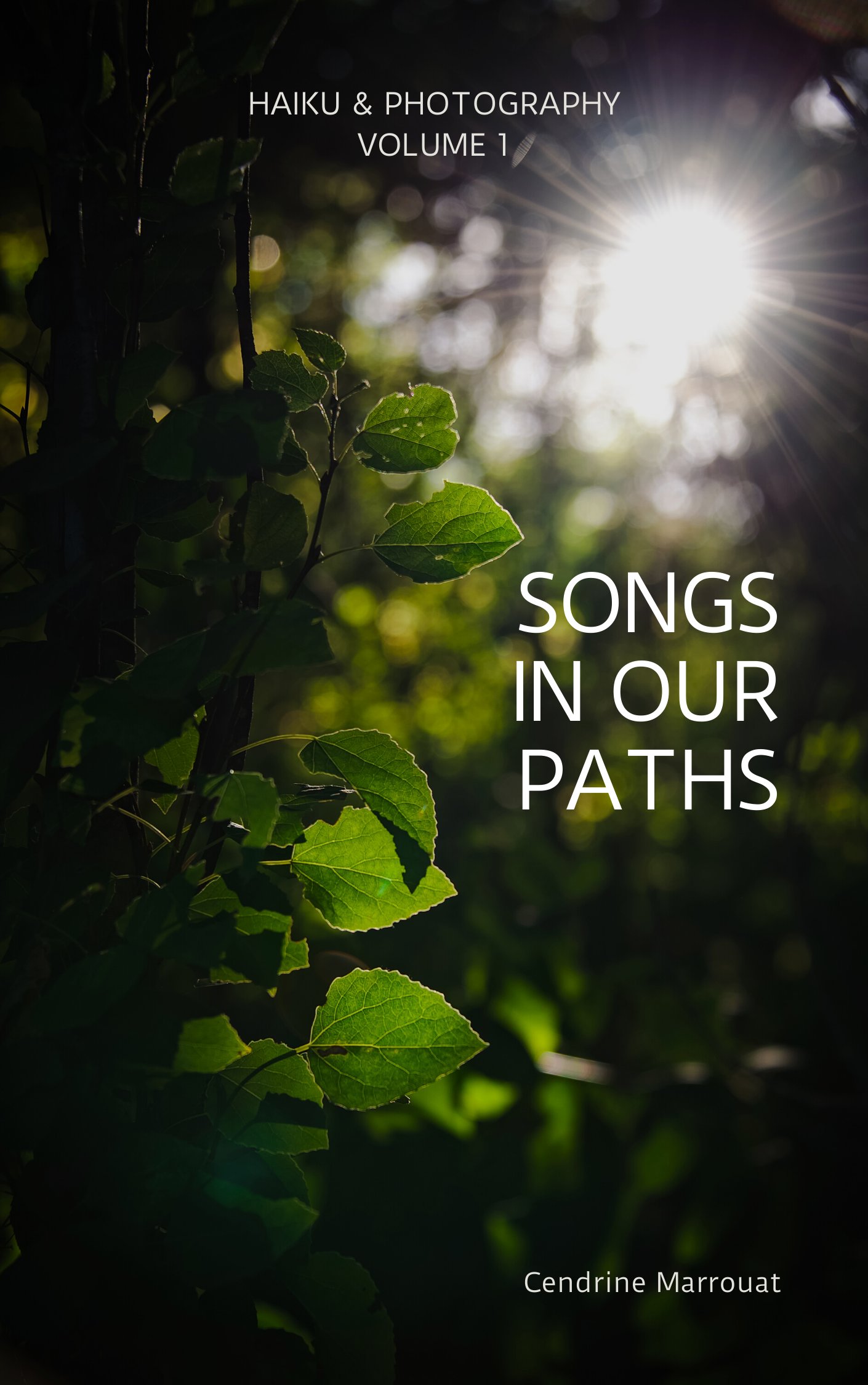 Songs in Our Paths: Haiku & Photography (Volume 1) product image (1)