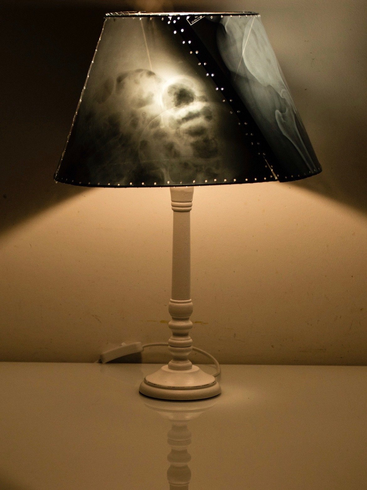 Pelvis Lamp product image (3)