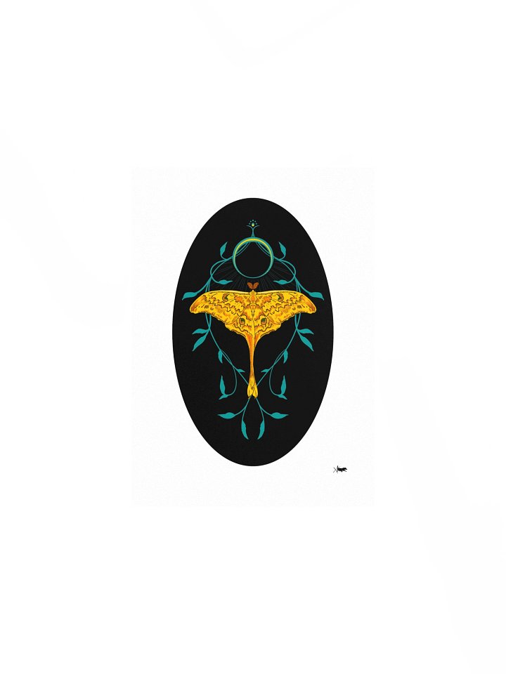 Madagascan Moon Moth product image (1)