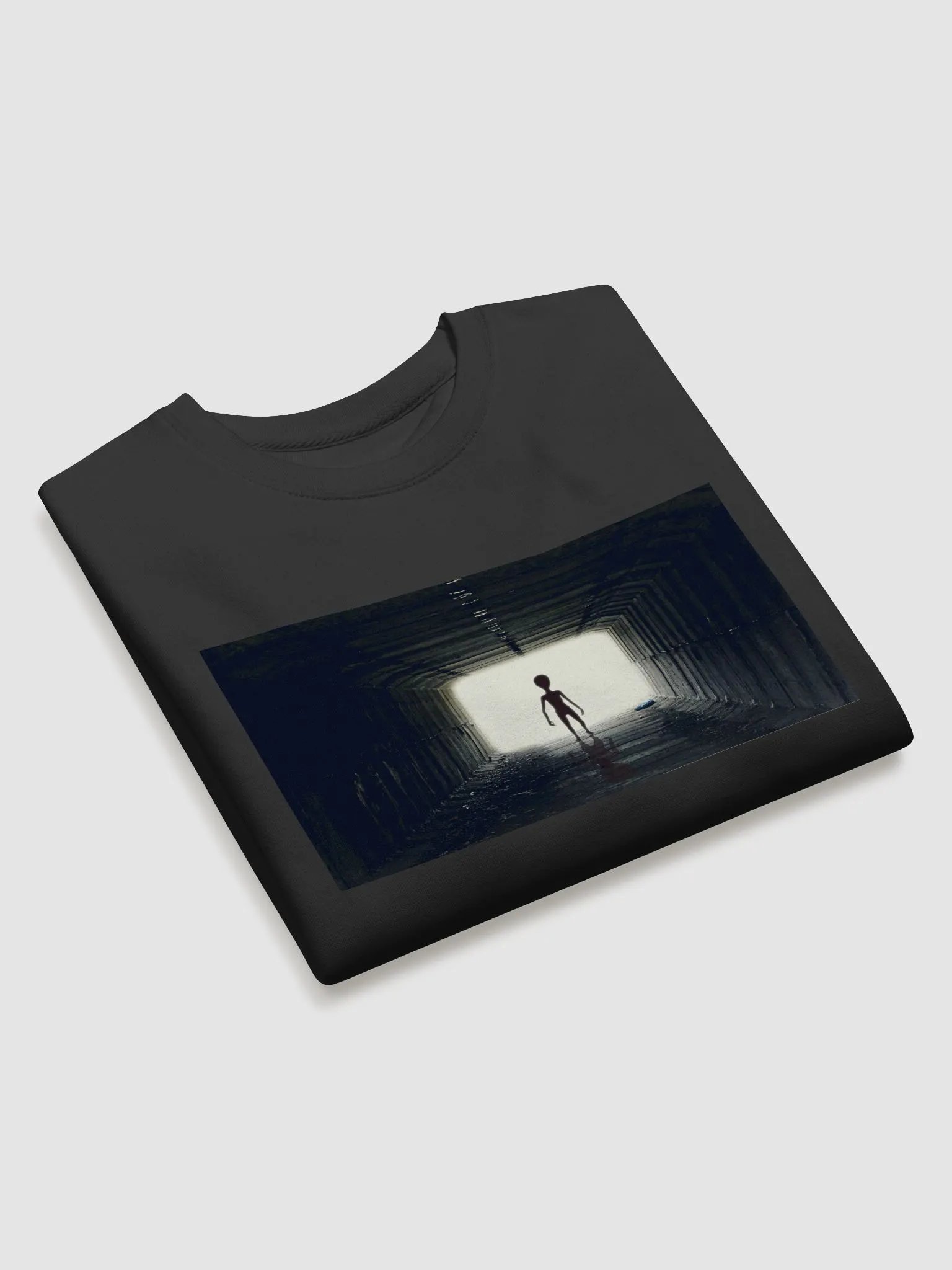 Seeing the light product image (4)