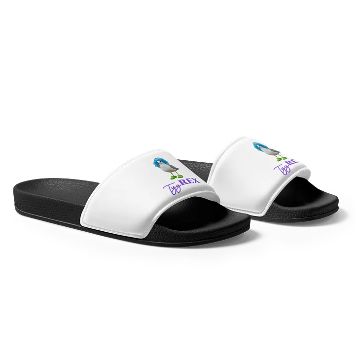 Hot Gull Summer Men's Slides product image (1)