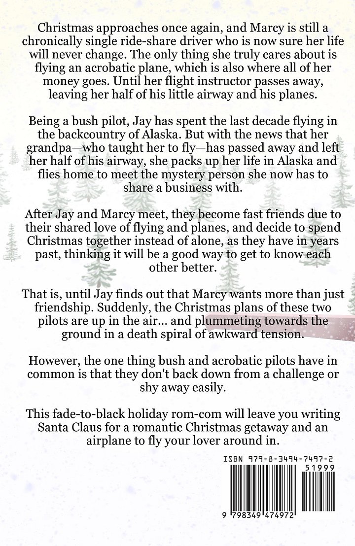 A Plane Christmas: A Novel (eBook) product image (2)