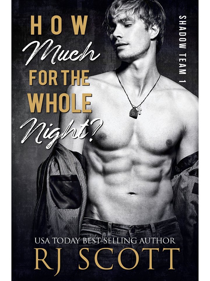 How Much For The Whole Night? (Shadow Team 1) - paperback product image (2)