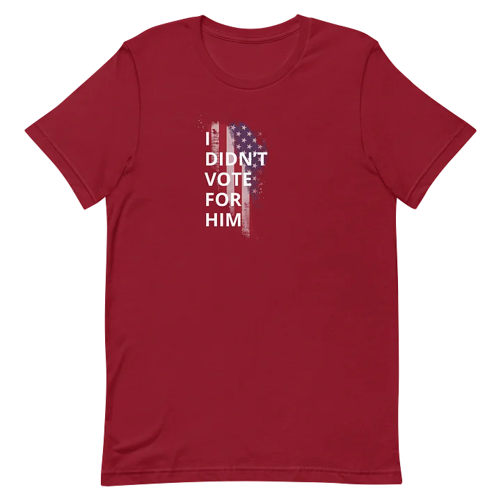 I Didn’t Vote for Him Tee product image (20)