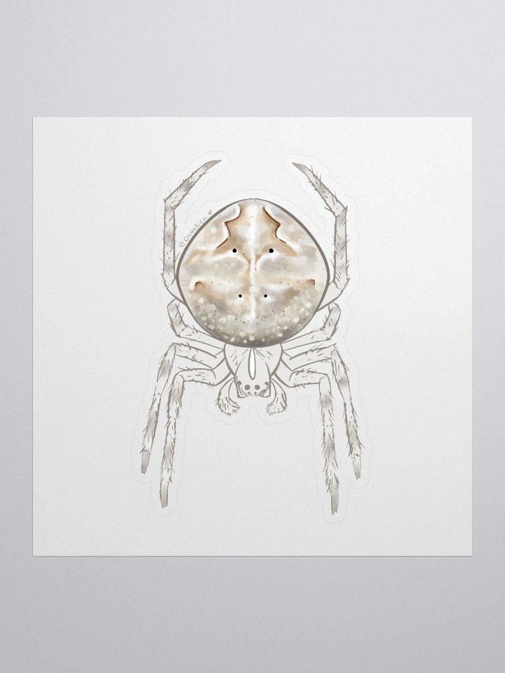 Large Grey Spider – Sticker product image (1)