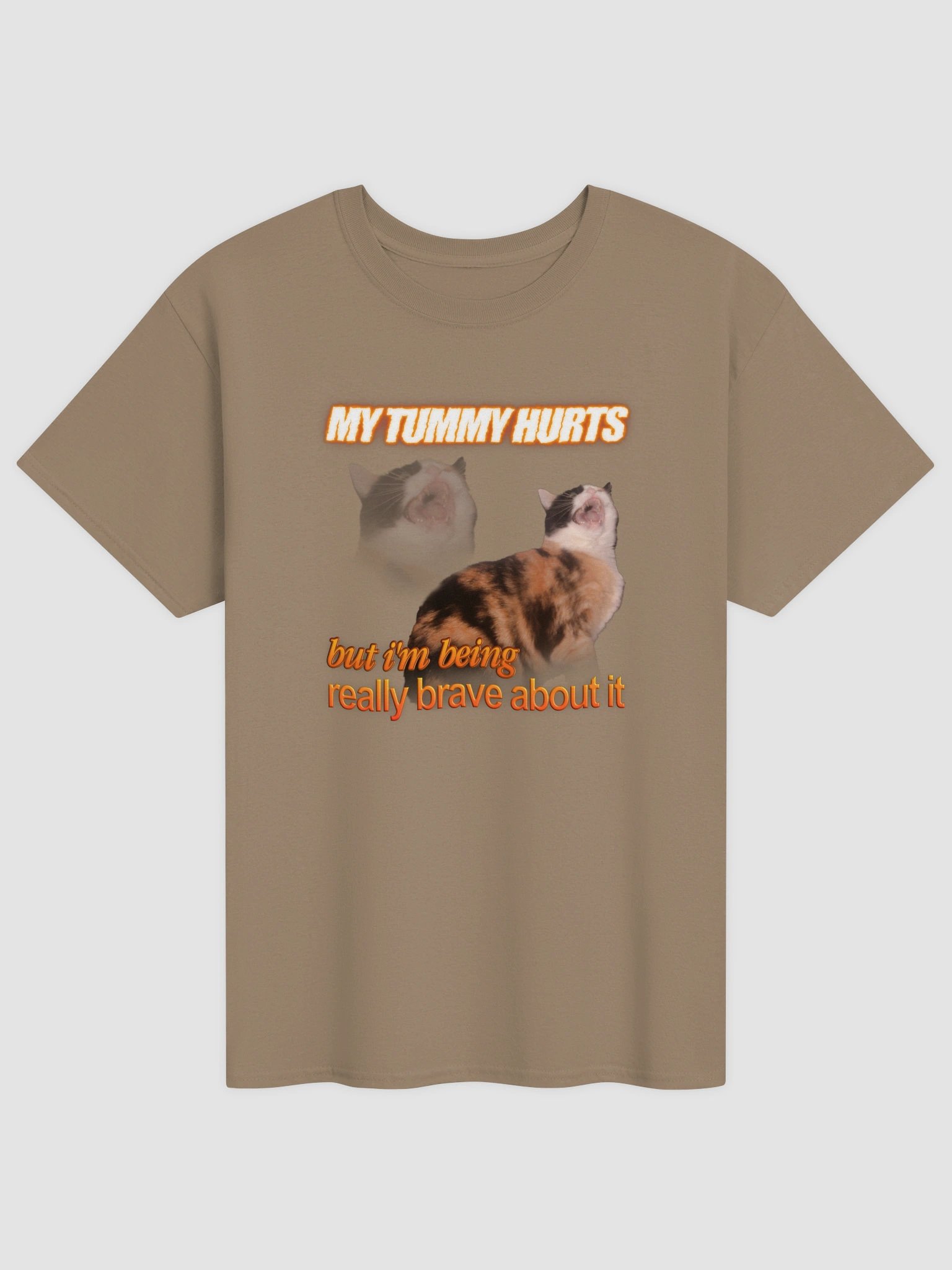 My Tummy Hurts and I'm Bring Really Brave - Cat T-shirt product image (2)